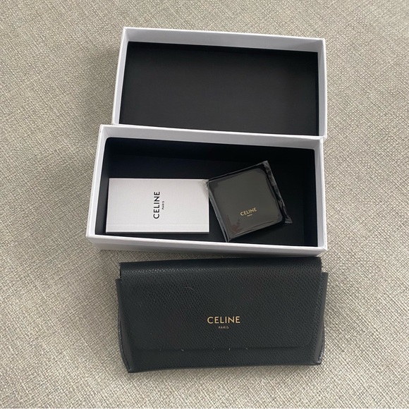 Celine Triomphe Oval Sunglasses Tortoise - Picture 5 of 5